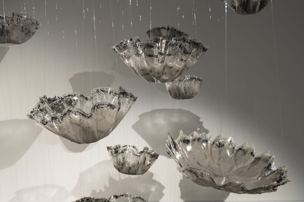 Image of floating bowls, clear with their shadows on the walls behind them, hanging from nylon thread.