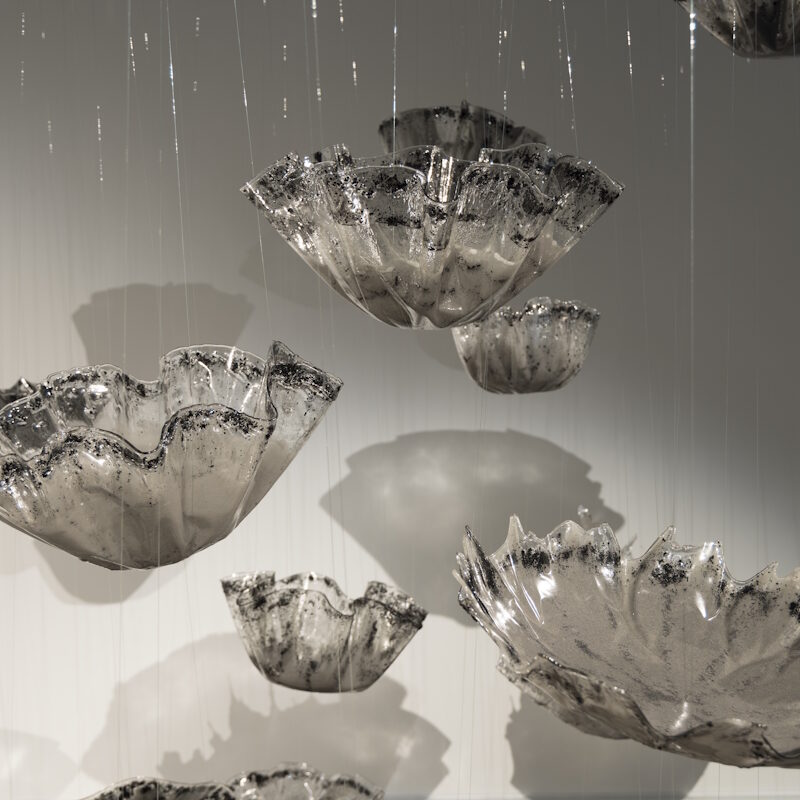 Image of floating bowls, clear with their shadows on the walls behind them, hanging from nylon thread.